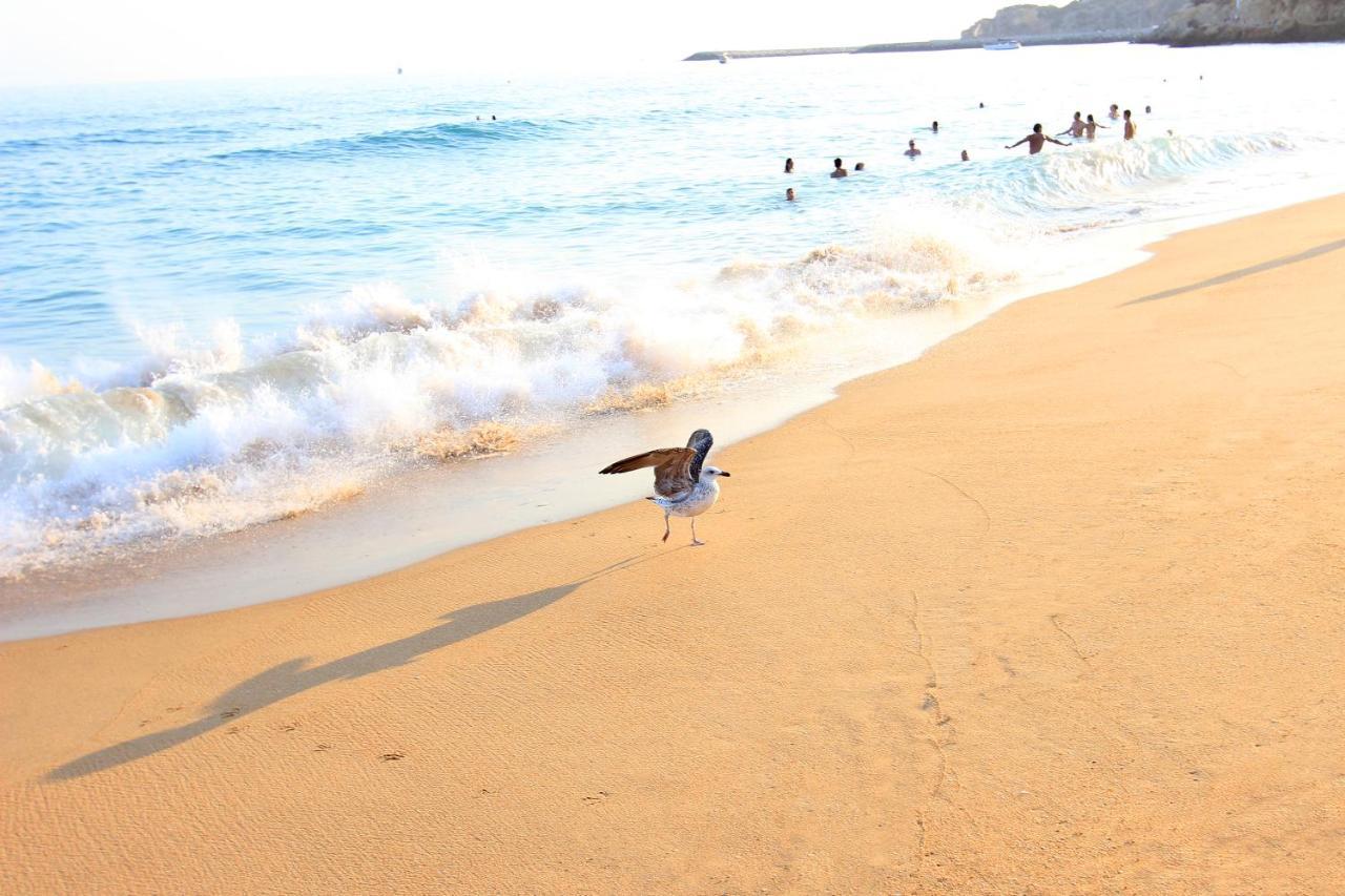 Natural Grey Albufeira Dış mekan fotoğraf
