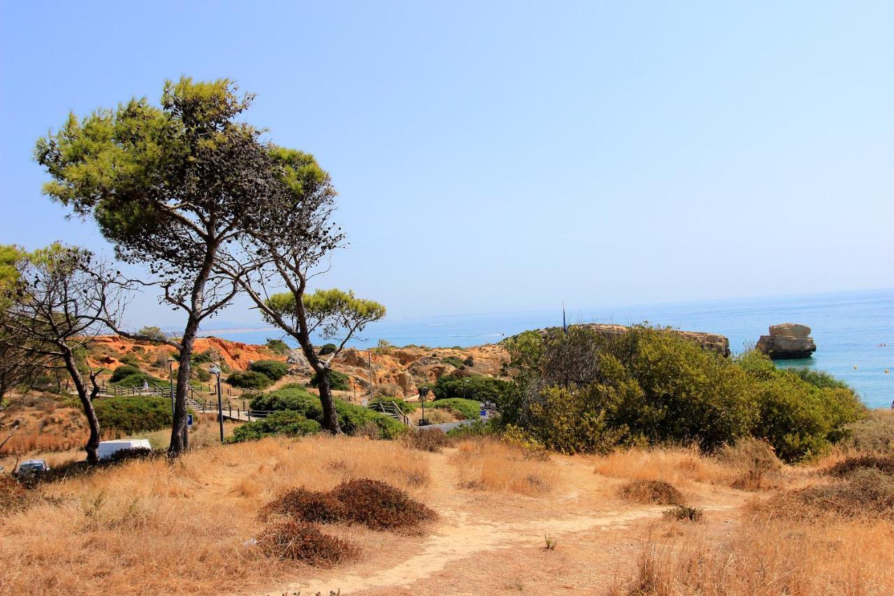 Natural Grey Albufeira Dış mekan fotoğraf